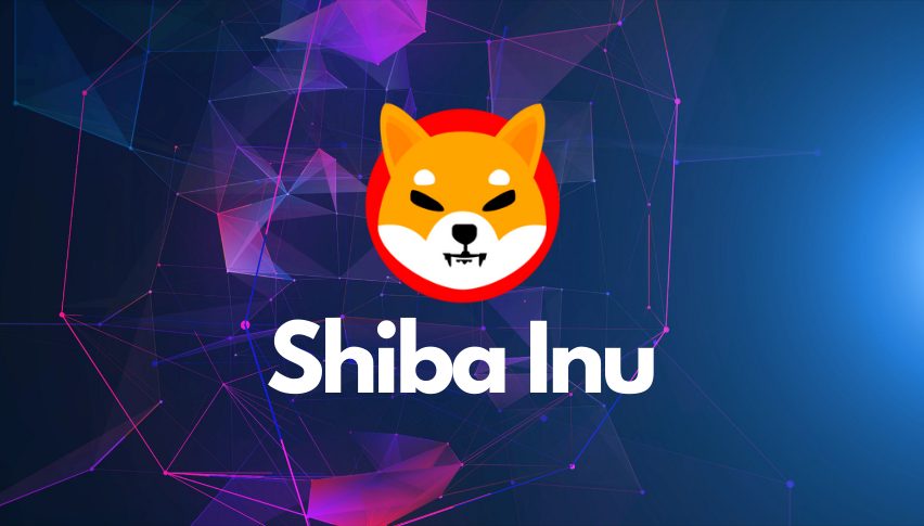 Shiba Inu Avustralya’da Bir Borsaya Daha Girdi!