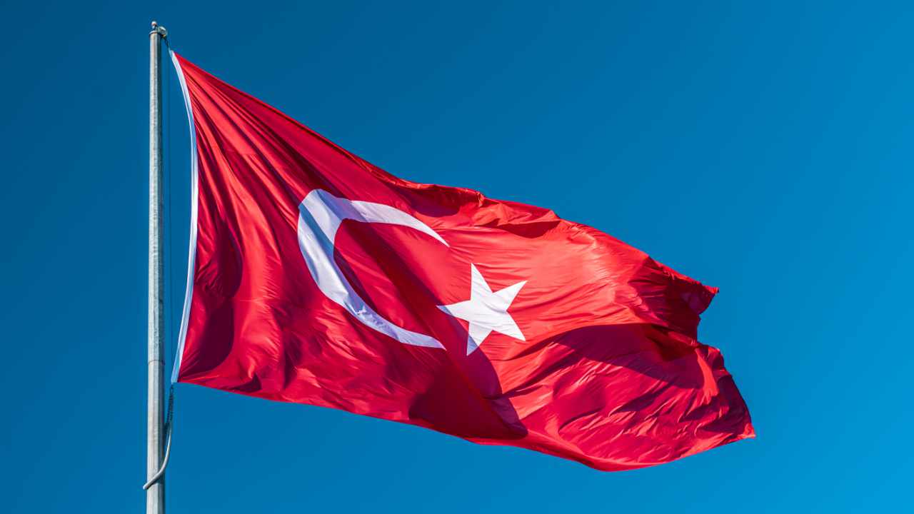 Türkler Shiba Inu Değil: Bu 10 Altcoin’in Peşine Düştü!