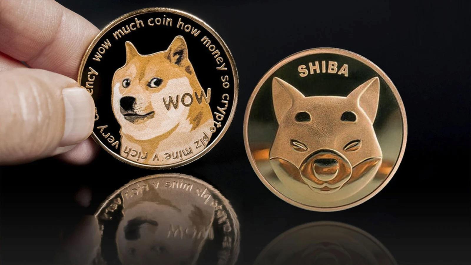 Popüler Analistten SOL, DOGE ve SHIB Coin Tahminleri!
